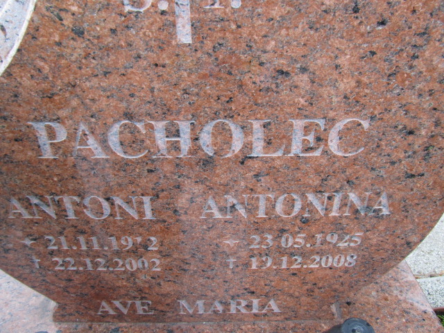 Antoni Pacholec 1912 Malbork - Grobonet - Wyszukiwarka osób pochowanych