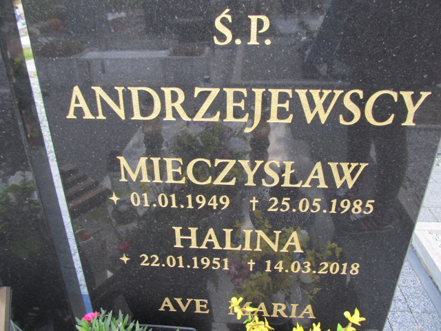 Halina Andrzejewska 1951 Malbork - Grobonet - Wyszukiwarka osób pochowanych