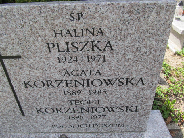 Agata Korzeniowska 1888 Malbork - Grobonet - Wyszukiwarka osób pochowanych