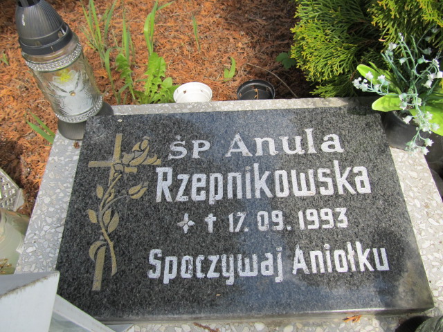 Anula Rzepnikowska 1993 Malbork - Grobonet - Wyszukiwarka osób pochowanych